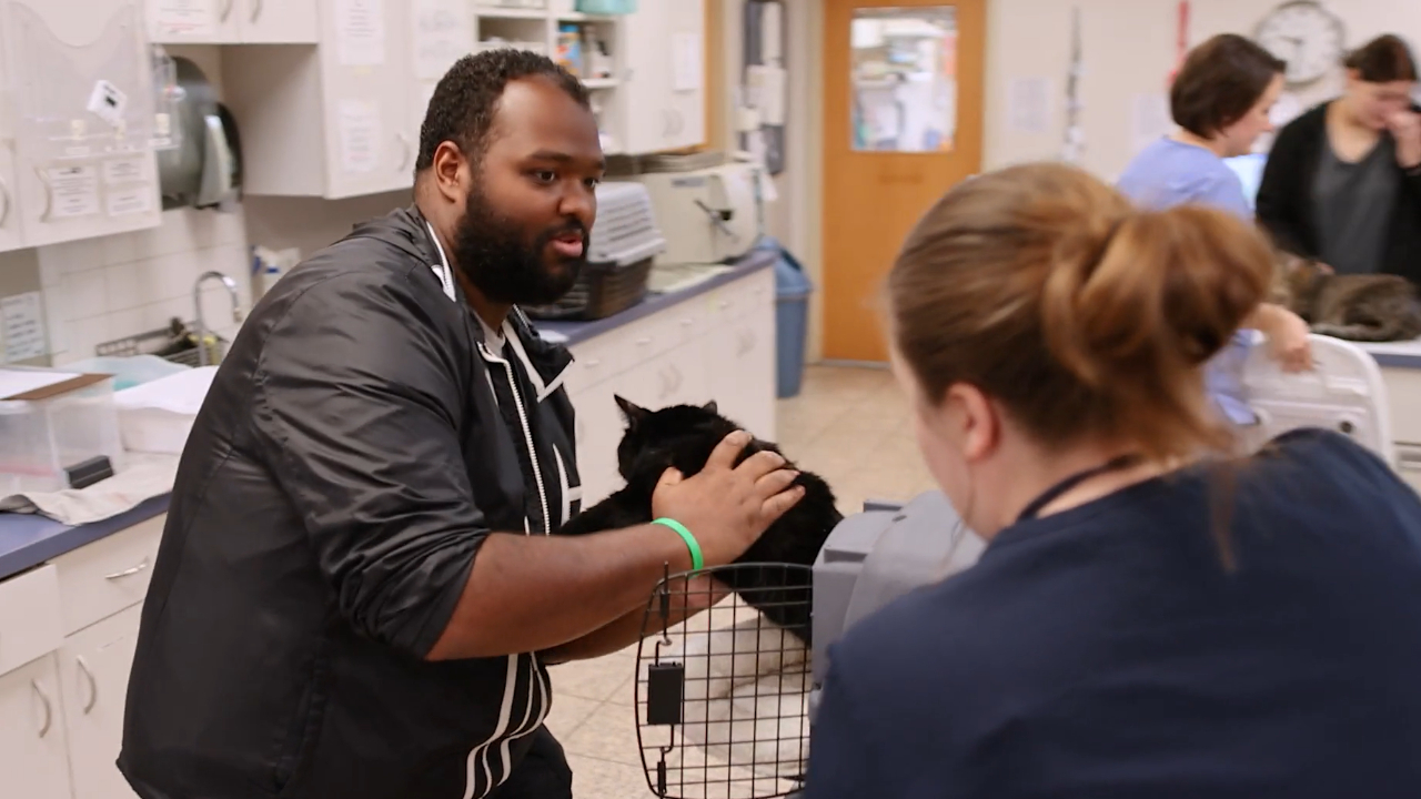 black man with beard pulls black cat out of carrier at vet office